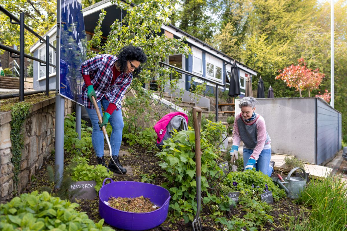 Unlocking Urban Orchards: Creative Gardening Tips